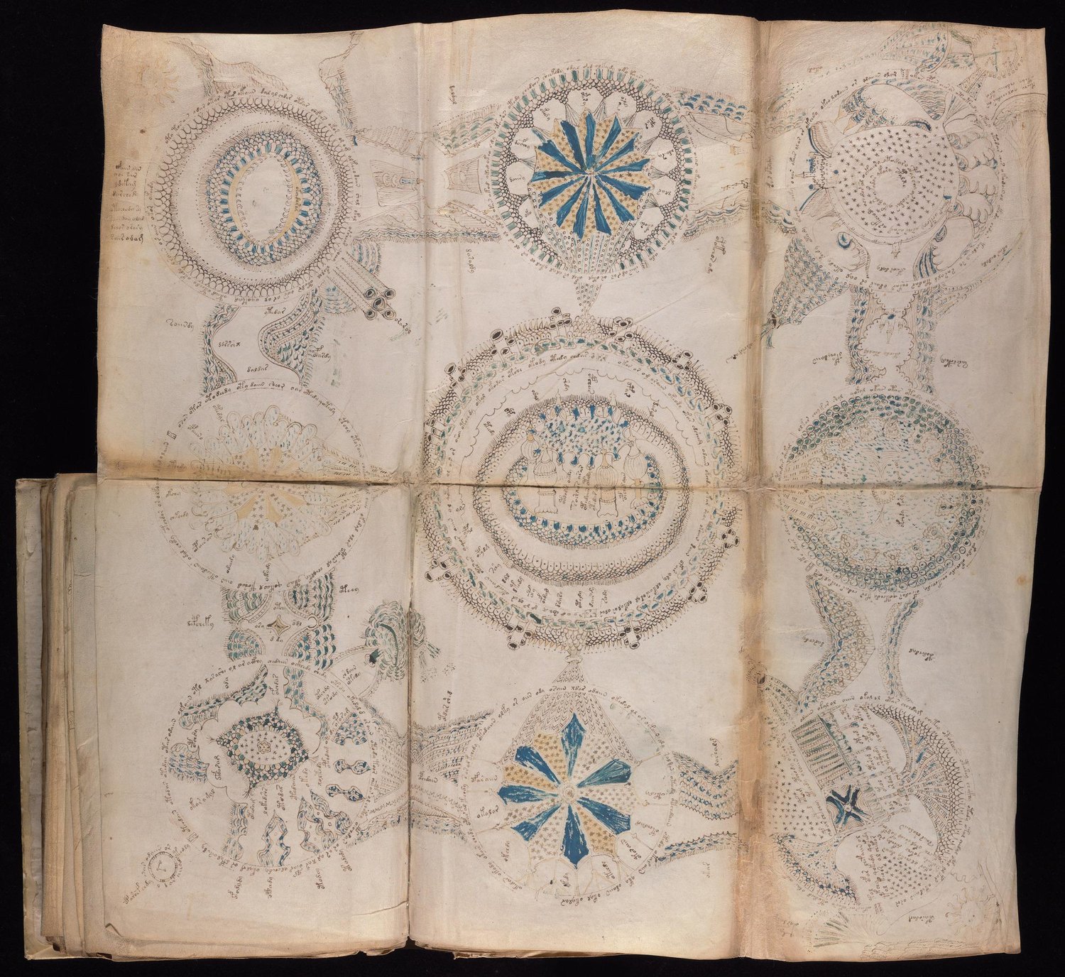 Great Rosette Foldout